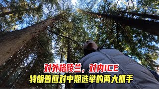 对外格陵兰，对内ICE，特朗普应对中期选举的两大抓手