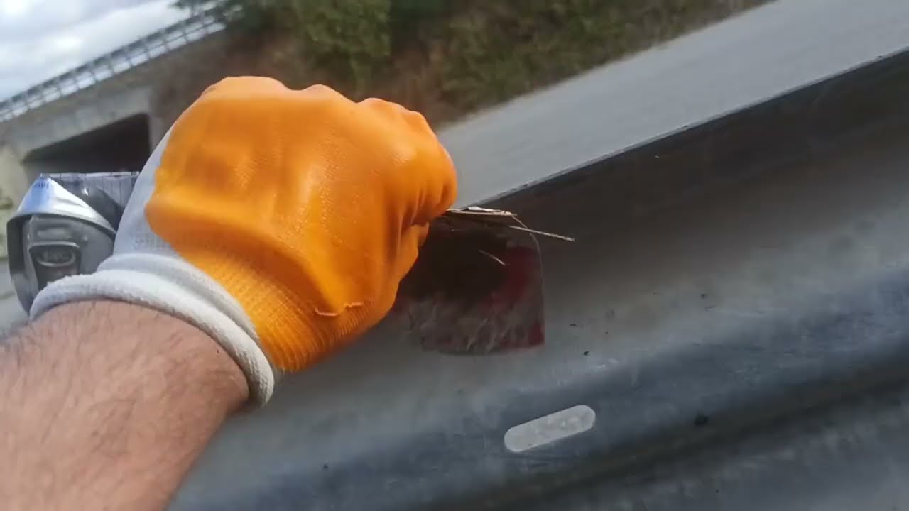 Bu Yolun Kenarında Neler Var Gördünüz mü?