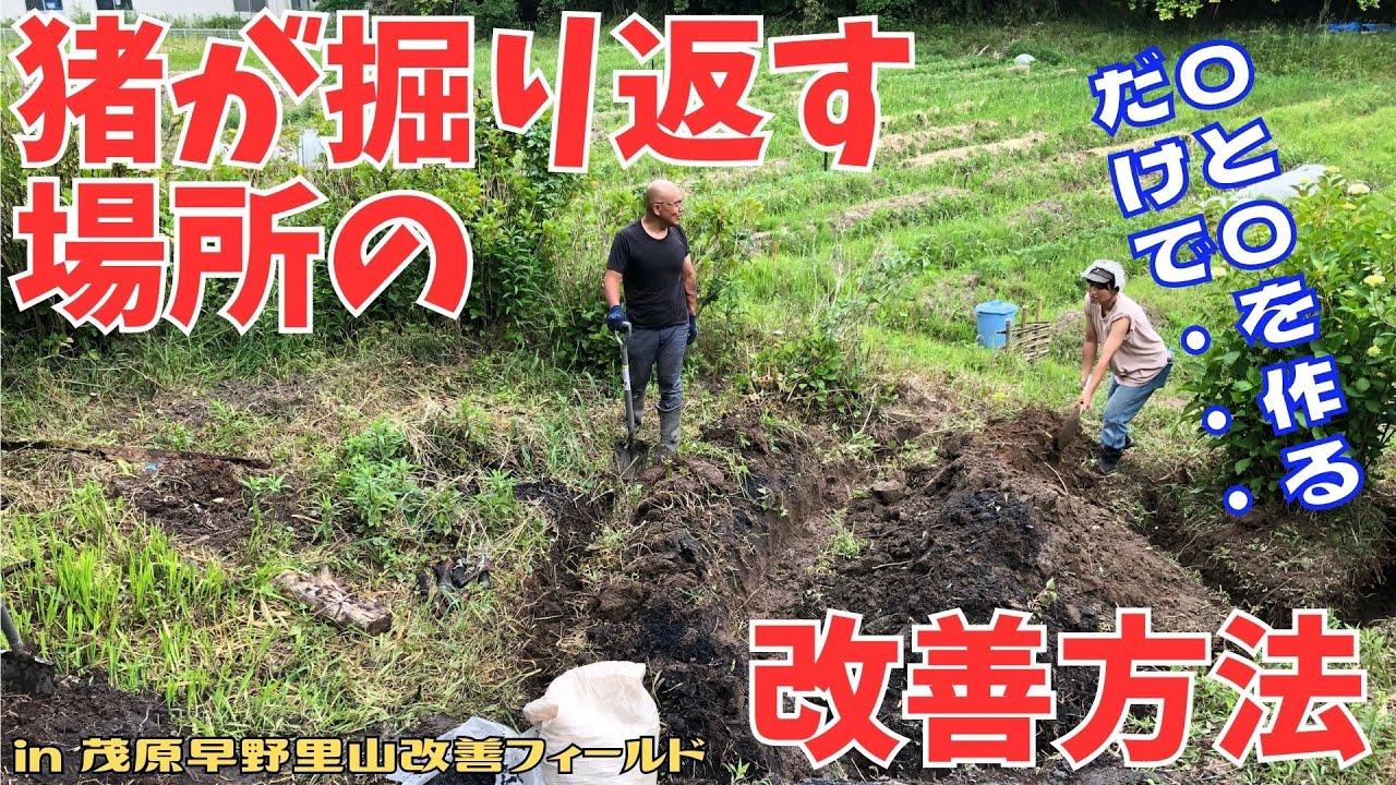 猪が掘り返す斜面を掘削する!【里山再生・土壌改善・里山体験受付中・エンジンオーガ・掘削機・水道の整備】 - YouTube