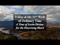 Friday of the 11th Week in Ordinary Time - A Time of Lectio Divina for the Discerning Heart