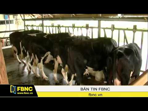 FBNC - Bộ NN&PTNT đề nghị Vinamilk mua sữa bò cho nông dân Sóc Trăng