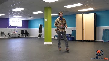 Tyler Muto Explains the Key To Negative Reinforcement