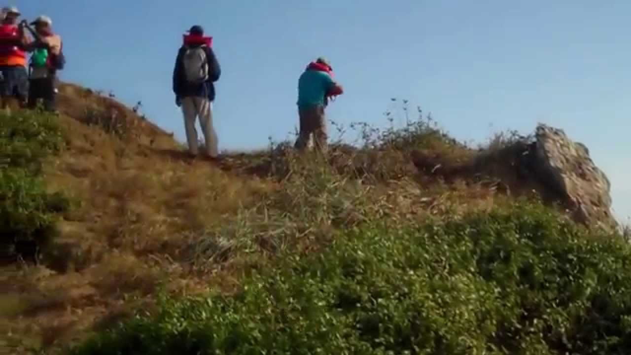 Soldado Rock, Trinidad with the Bird Group T&T Field Naturalists