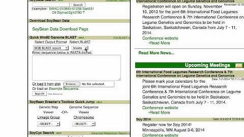How to perform a quick BLAST analysis at SoyBase