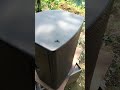 spider box