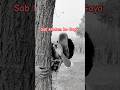 Sab kuch khatam ho Gya #shorts #comedy #funny #comedyvideos