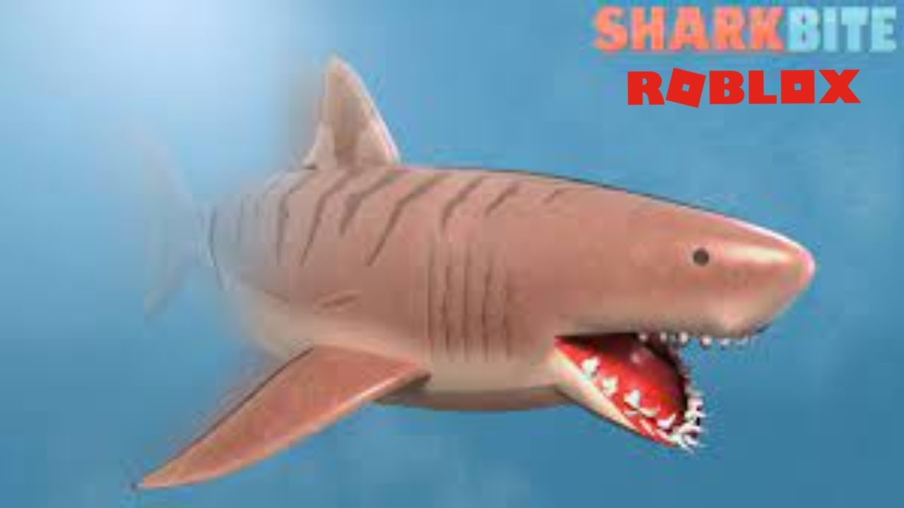 Can You Survive In SHARKBITE!!?? (Roblox) YouTube