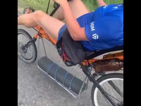 Лигерад в колонне