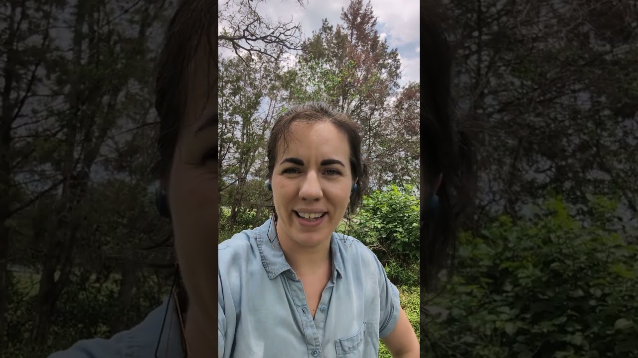 Growth Cave KBA Review