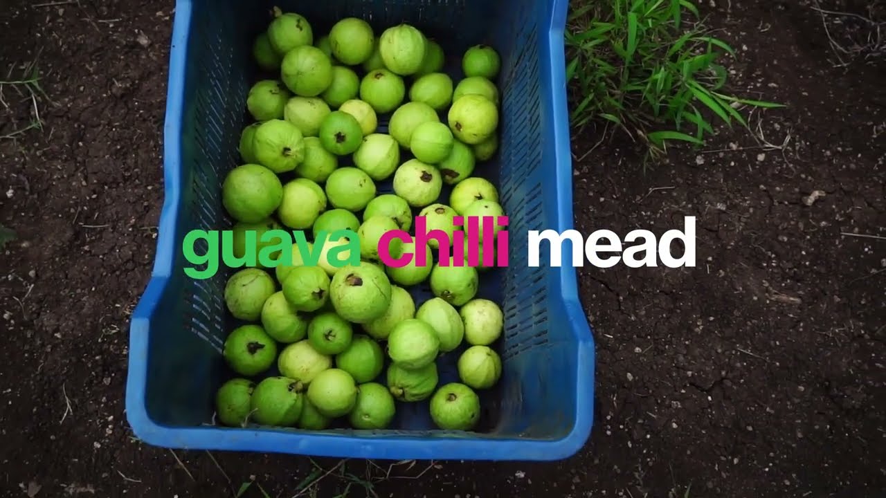 The Guvava Hunt ft Rohan and Oscar - Moonshine Meadery