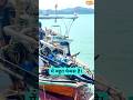 Is Boat Ka Engine Bahar Kyu Hota Hai? 😳🚤 Longtail Boat Ka Amazing Secret 🔥