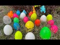 Unexpectedly, beautiful and cute colorful dinosaur eggs were discovered hidden in the garden