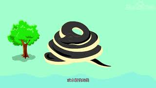 Pythonidae