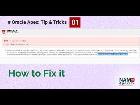 How to fix [503 Service Unavailable] in oracle apex 20.2 (ords) - part 1