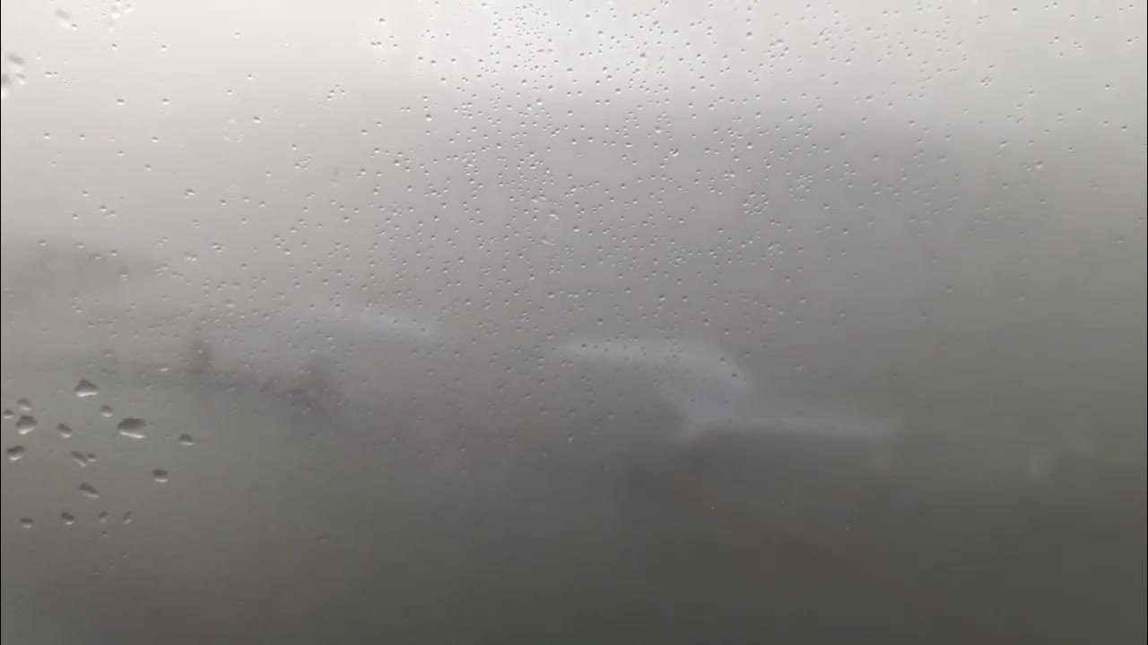 Wet wind. Wet wind. Wet wind. See from sea альбомы. Wet wind.