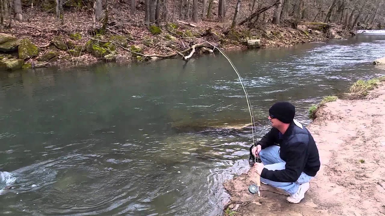First trout Roaring River YouTube