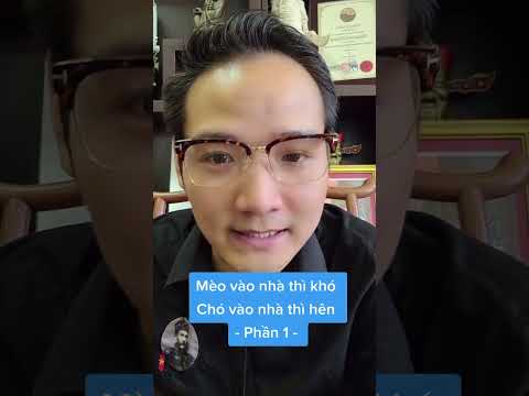 Video Mèo Vào Nhà Thì Khó, Chó Vào Nhà Thì Sang Theo Góc... - youtube