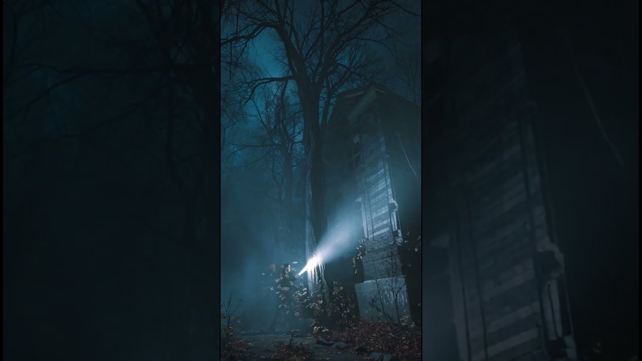 Exploring the Haunted House Alone – What Lurks in the Shadows? 