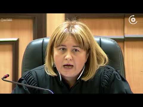 მოსამართლე - სასამართლომ გიორგი გიორგანაშვილს სასჯელის მინიმალური ზომა განუსაზღვრა