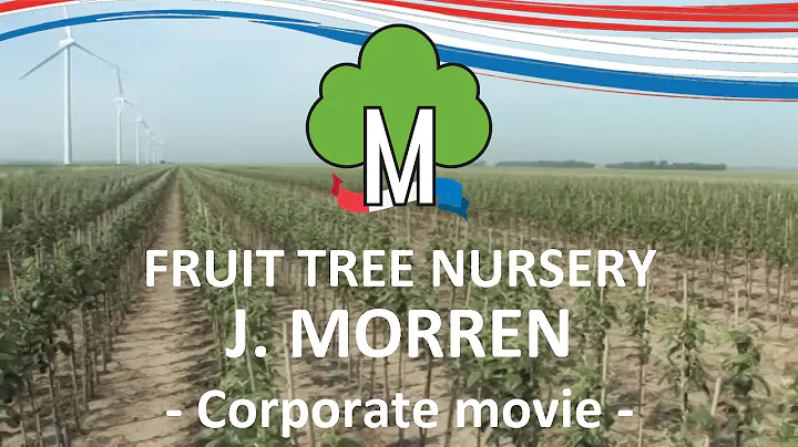 Fruit tree nursery Morren - Corporate movie