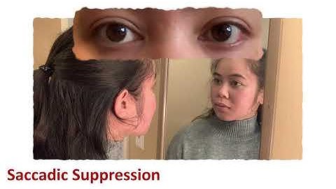 Spatiotemporal content of saccade transients/ Curr. Biol., Sep. 10, 2020 (Vol. 30, Issue 20)