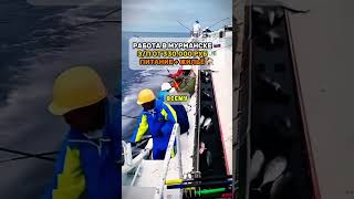 Вакансия на рыболовное судно в Мурманске #вакансии #вахта
