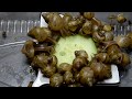 Snails eat cucumber