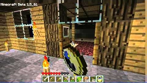 Minecraft Bugs: Bed Bug