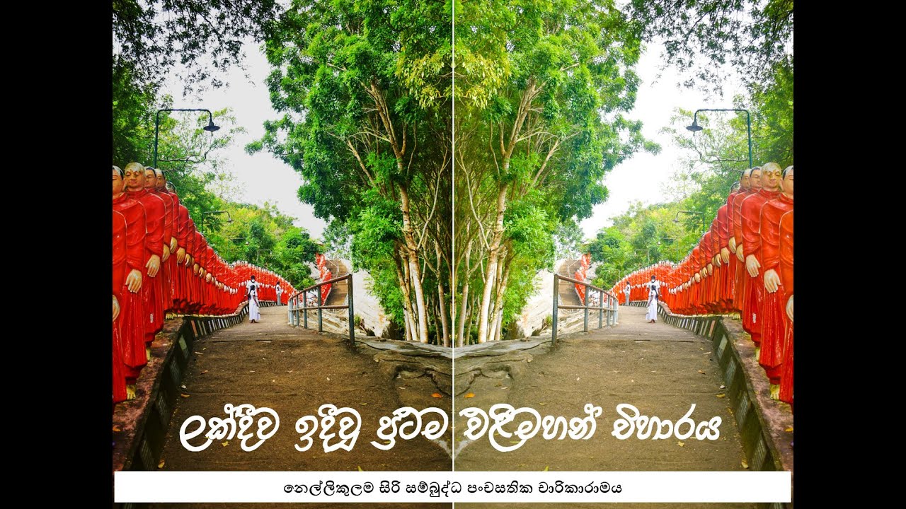 ලක්දිව ඉදිවූ ප්‍රථම එළිමහන් විහාරය | නෙල්ලිකුලම විහාරය අනුරාධපුරය | Nellikulama | Travel Vlog 3