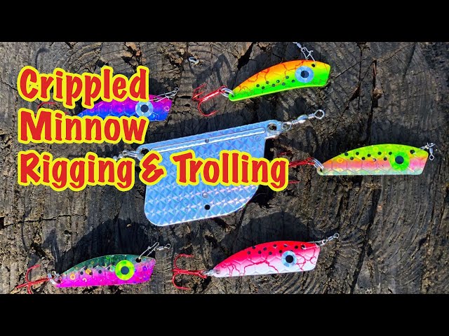 crippled killer fishing lure Luhr-Jensen - Herring Offered in sizes ranging from 1/2 ounce to 5 ounce and is available in a wide range of colors and metal finishes Luhr Jensen Crippled Herring Jigs