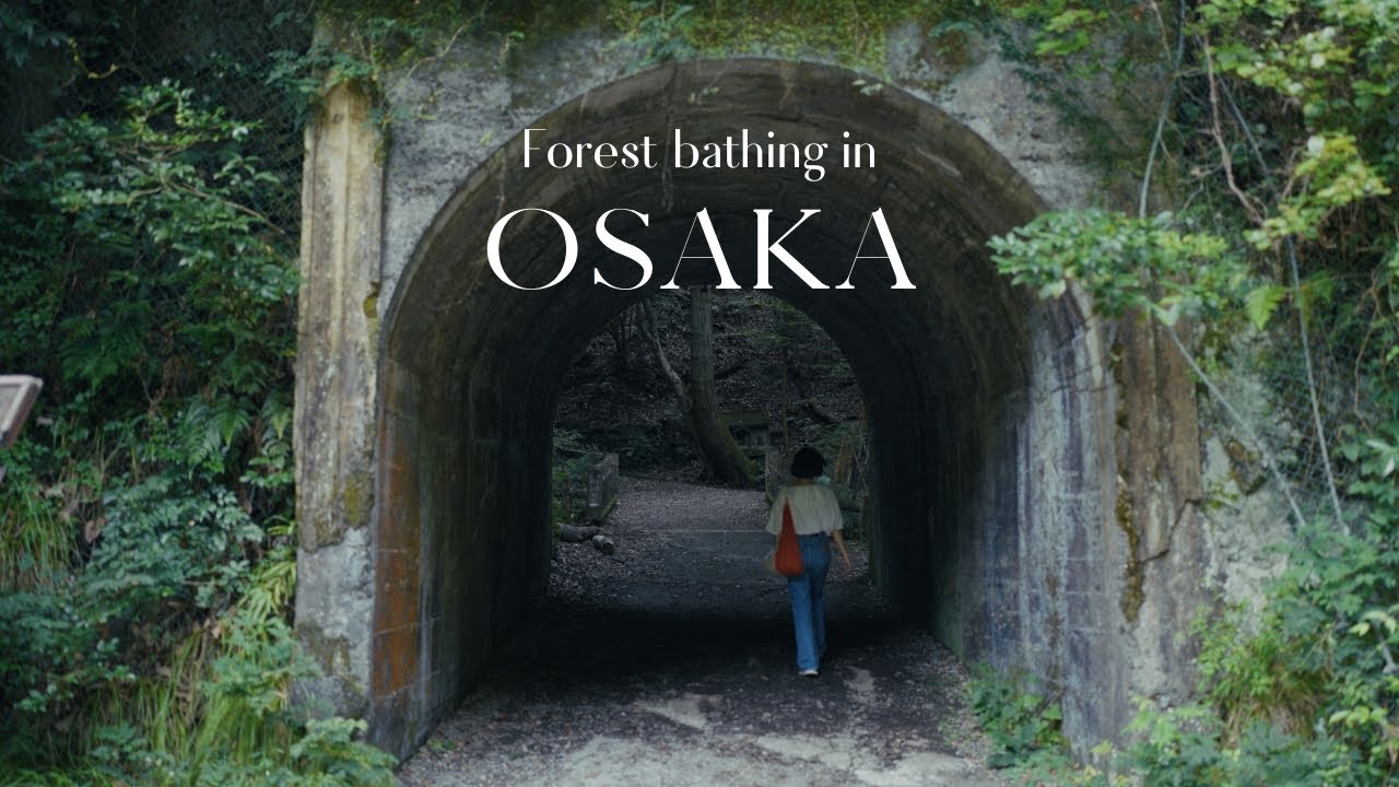 Quiet side of OSAKA 🌿 Forest bathing in Minoh Park | Japan Travel Vlog ...