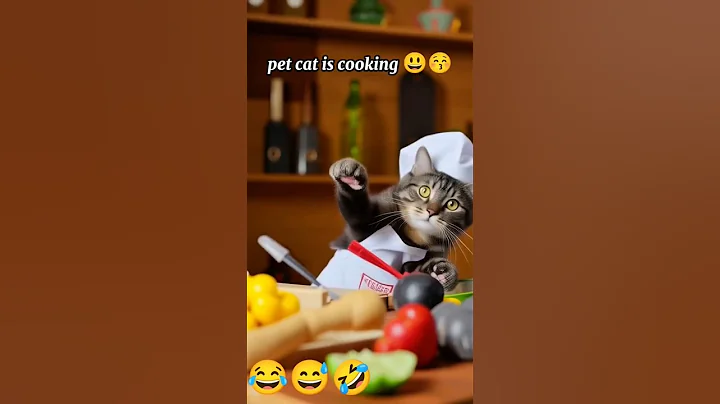 Video 11137331: cat kitten cute pets, cat funny pets, funny cat jumping