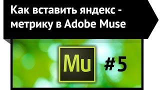 Как вставить яндекс - метрику в  Adobe Muse