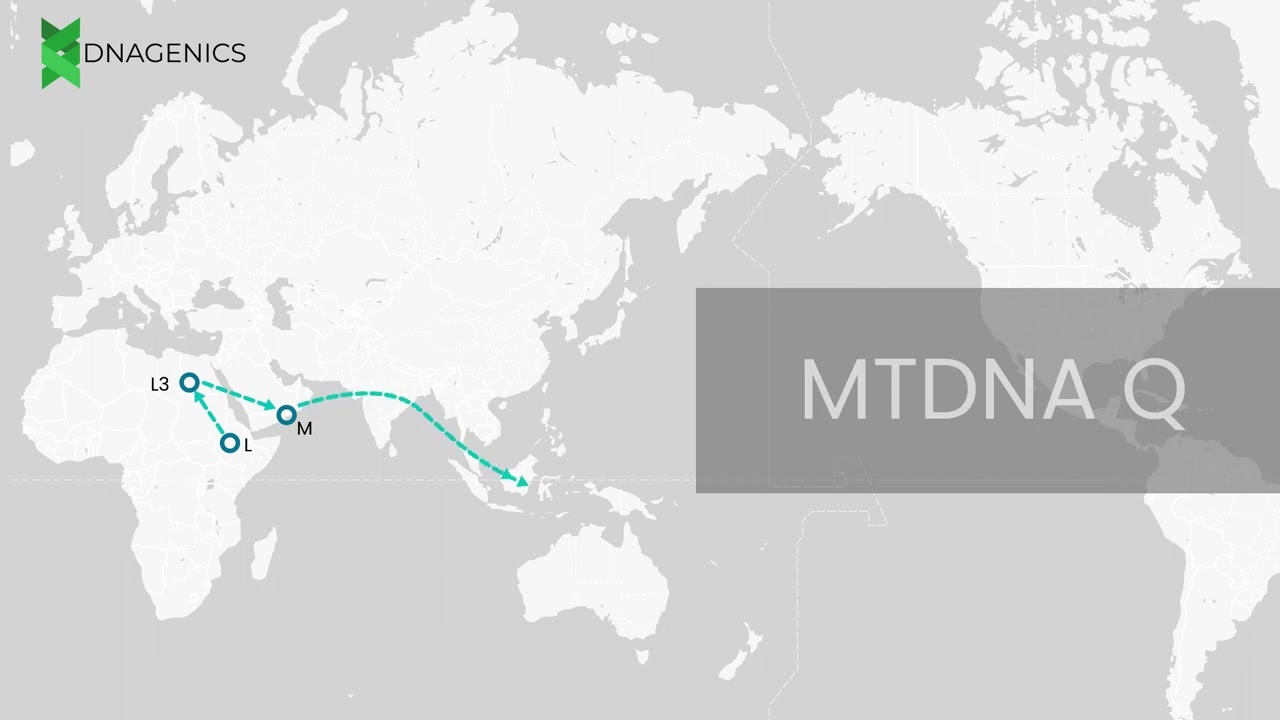 MTDNA Q - DNAGENICS