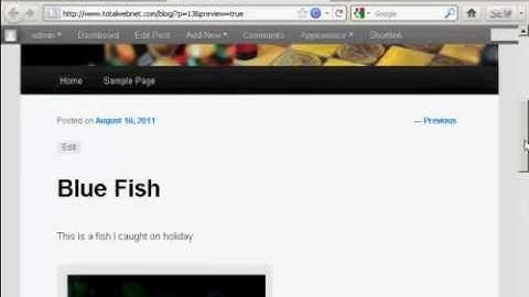 Wordpress Tutorial Video #7 - How to Insert and Format Images