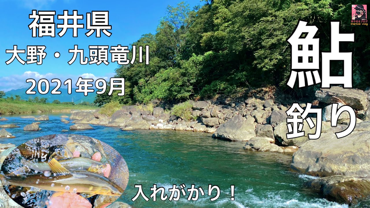 (鮎釣り) まだサビないで。2021年鮎。PINAY AYU(episode 15)