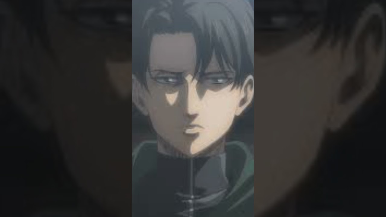 Mr. Levi Ackerman 