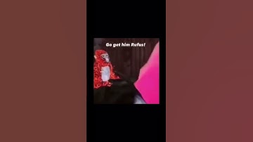 Go get him Rufus 😂 #gorillatag #oculusquest2 #vr #gtag #funny #viral