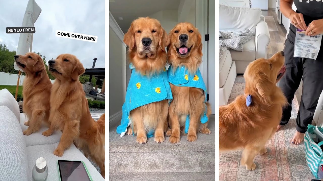 Time for the Chiropractor