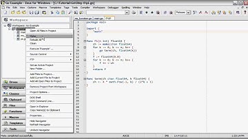 Manage Go Builds Using the Zeus Workspace
