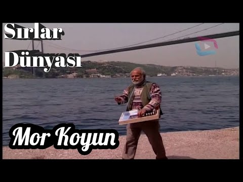 Sırlar Dünyası Mor Koyun (İbretlik Hayat Hikayesi) {Mutlaka İzleyin} #sırlardünyası