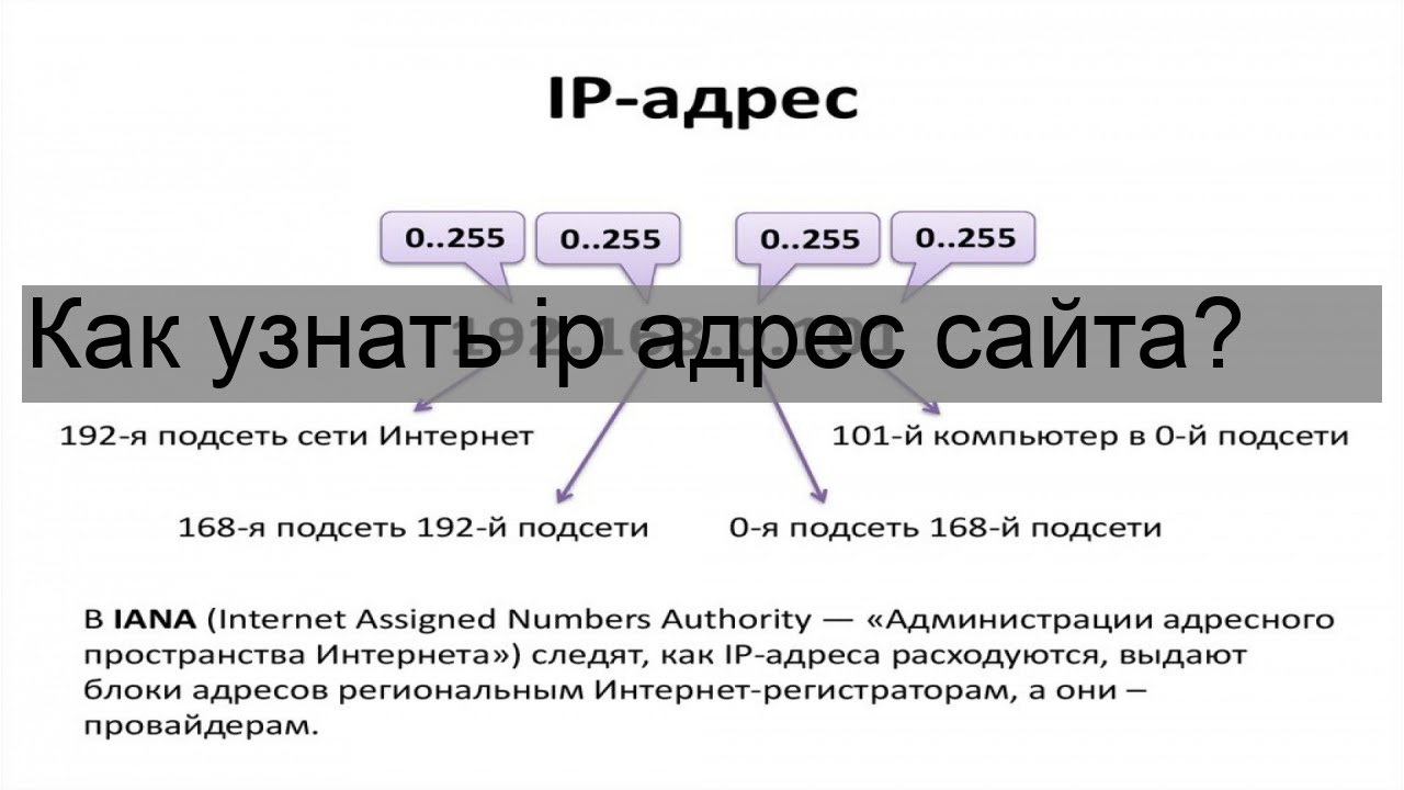 Как узнать ip адрес сайта. IP адрес сайта. Адрес сайта. Как найти адрес сайта.