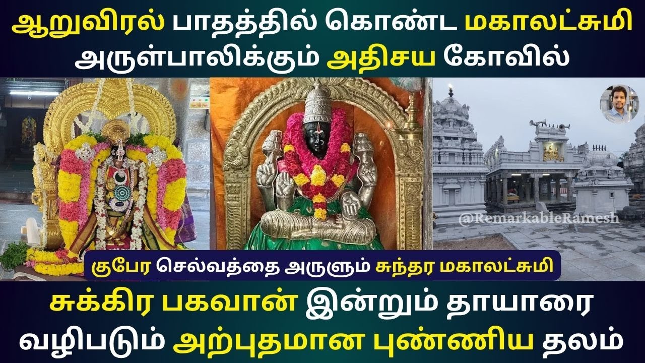 ஆறுவிரல் பாதத்தில் கொண்ட மகாலட்சுமி அருள்பாலிக்கும் கோவில் | Arasar Koil Sundhara Mahalakshmi Temple