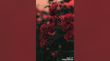 سورة الواقعه للشيخ حسن صالح من تسجيلات رمضان