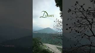 Dooars.#travel#vlog#kalimpong#pahari#wilddooars#riversounds#westbengal#automobile#reels#shorts