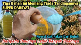 JUST 3 INGREDIENTS!! More Fruit Than Leaves: Powerful DIY Fertilizer Mix Guide