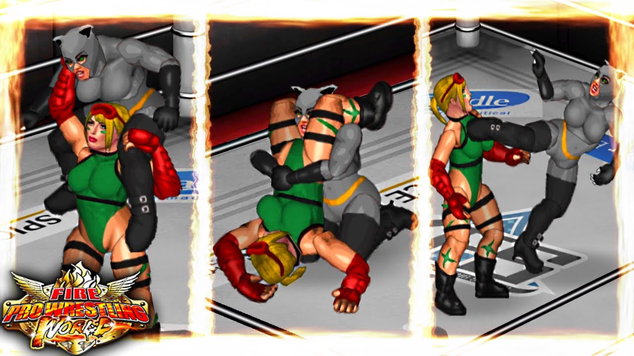 ❌ Catwoman vs Cammy White ❌ DC Comics vs Street Fighter ❌ Fire Pro Wrestling