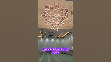 آيات بينات من كتاب الله العزيز الحكيم الغفور الرحيم #قران_كريم #كتاب_الله #كن_مع_الله_ولا_تبالي