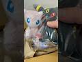Unboxing Mew and Umbreon plushies from Pokémon Center Online