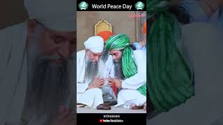 World Peace Day #santbabadarshansinghji #tapobandhakkisahib